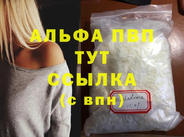 ECSTASY Богородицк